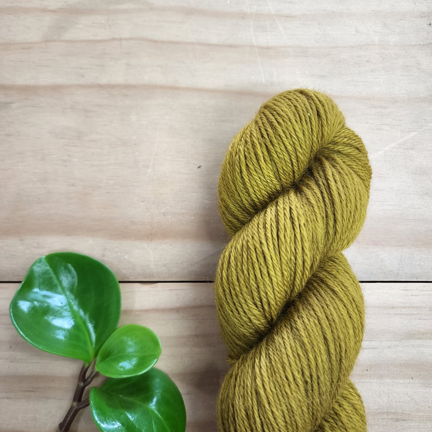 Prosper Yarn - Anene - 8ply Organic Merino - Kate Moss